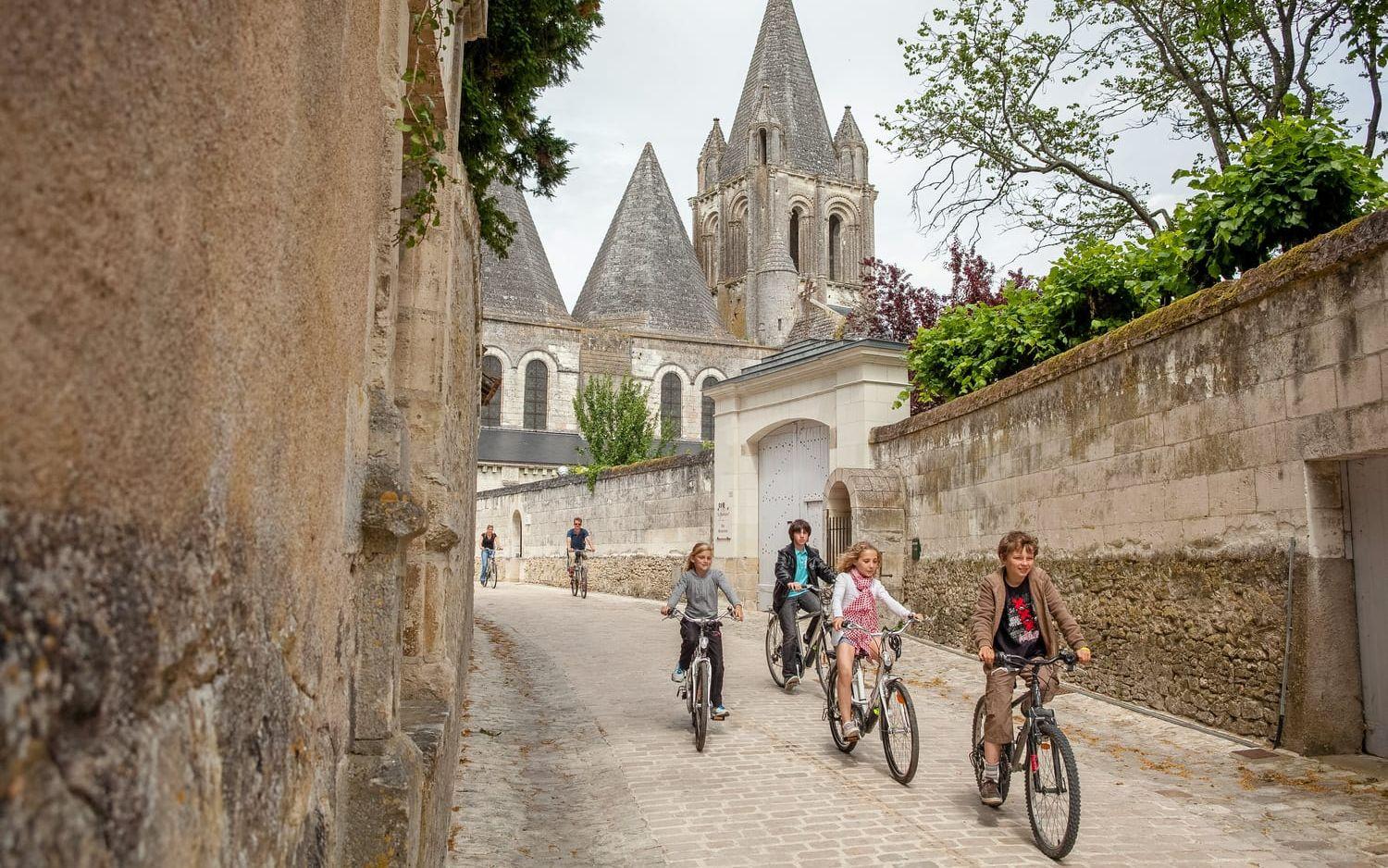 Genom franska Loiredalen slingrar en nästan tusen kilometer lång cykelsträcka längs floden.