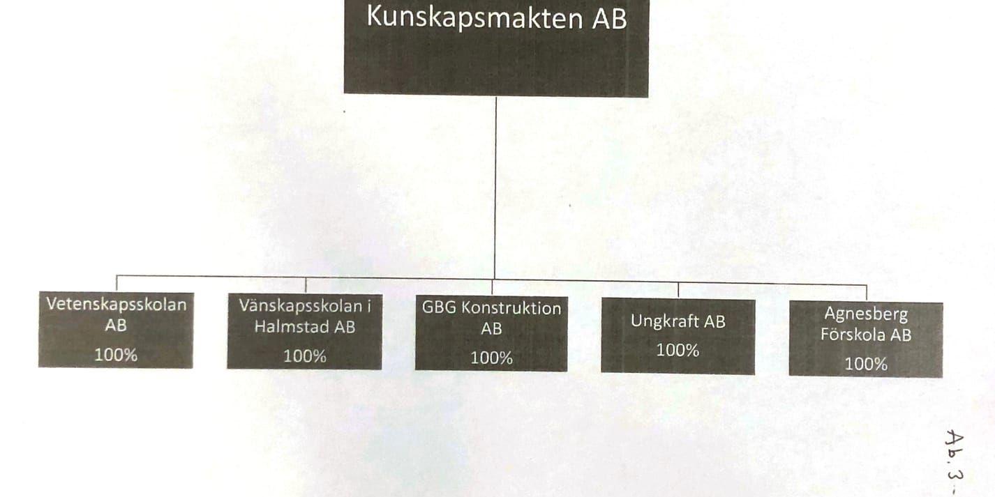 Abdel Nasser El Nadis skolkoncern som den såg ut i maj 2019.