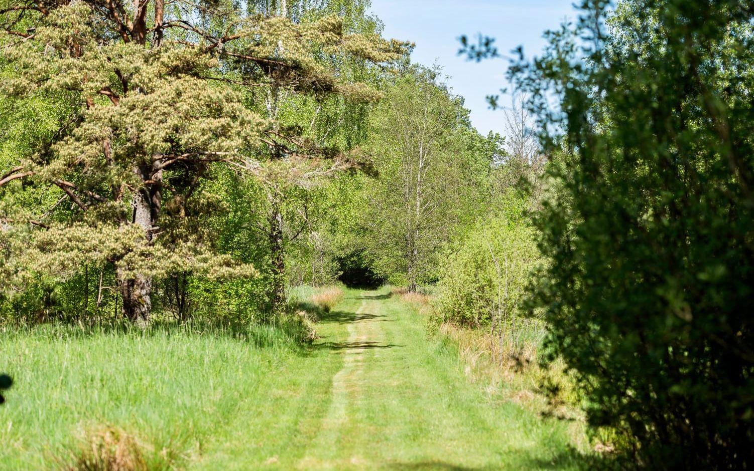 På Sunnerö har Sällskapet Länkarna i Göteborgs medlemmar kunnat bo sedan 50-talet för rekreation och vila om man så vill. 