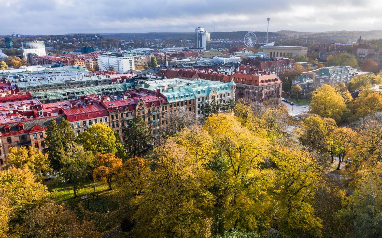 höst i Göteborg. vasa sasaparken