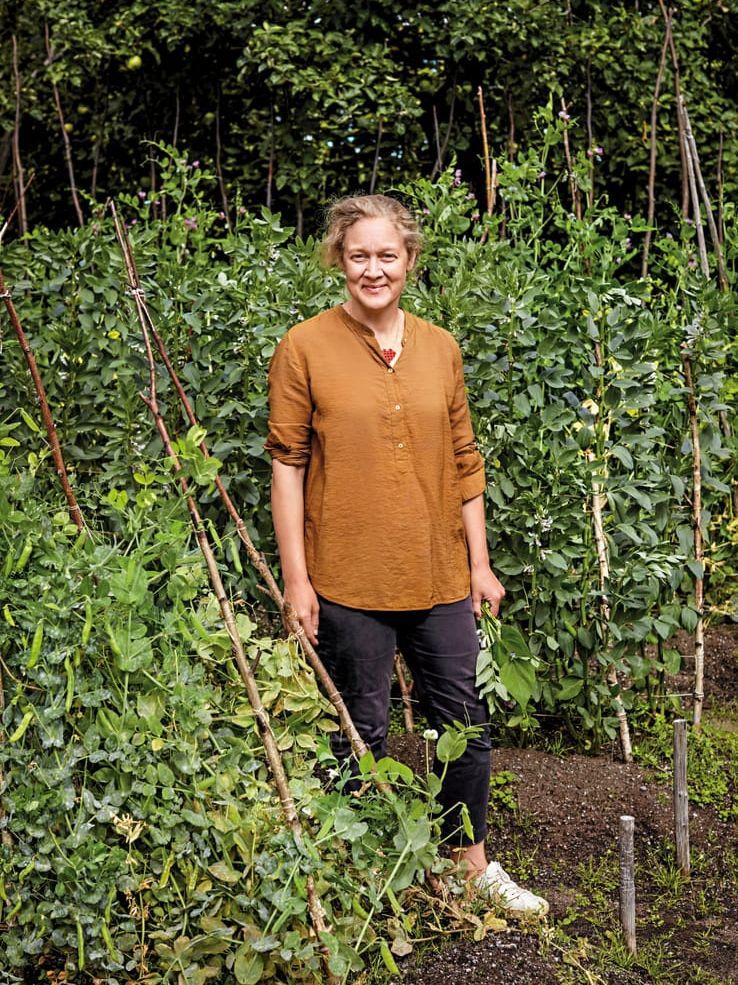 Journalisten Jenny Damberg har precis givit ut sin andra kokbok om baljväxter.