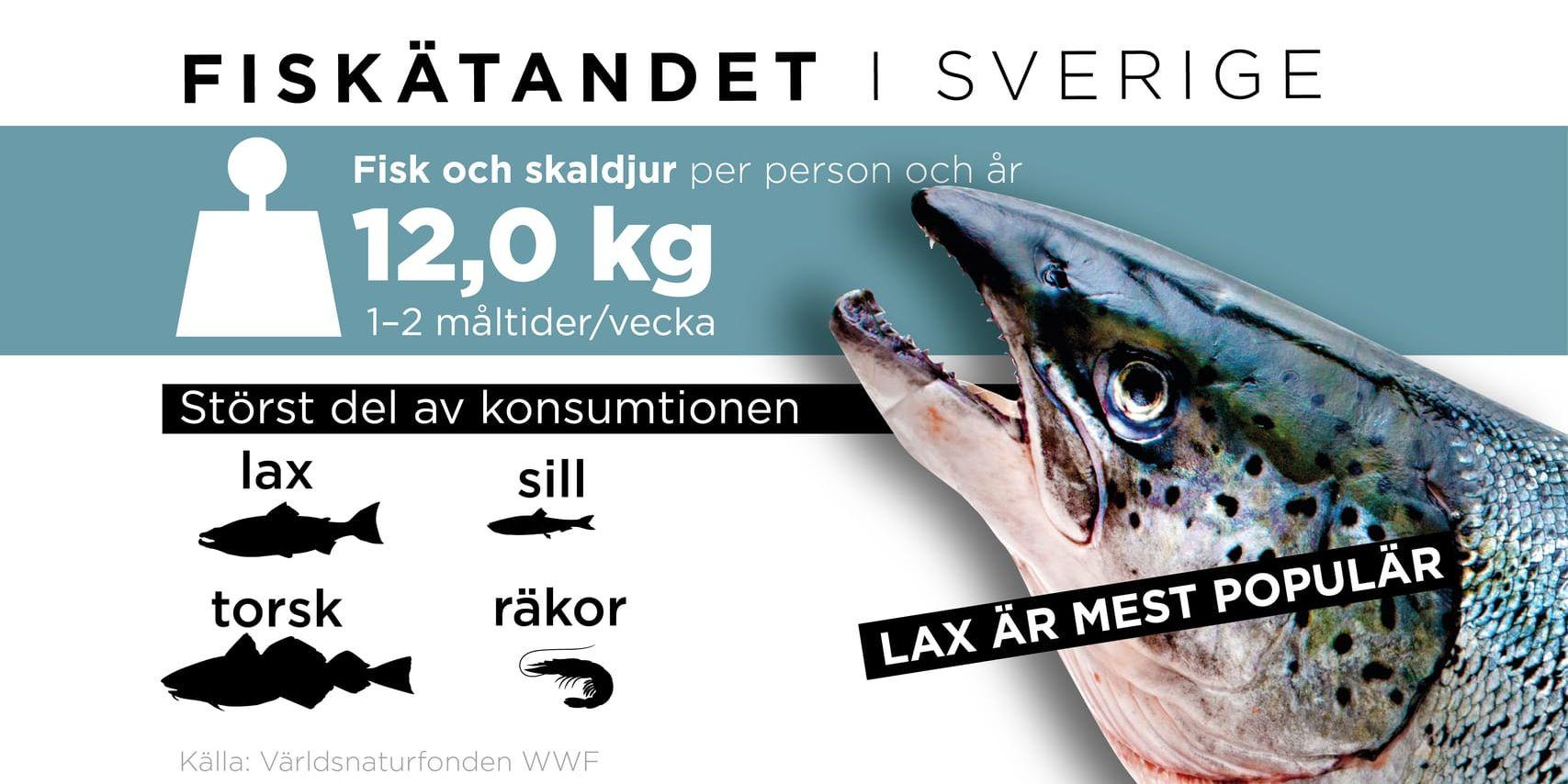 Svenskarna äter i genomsnitt 12 kilo fisk och skaldjur per person och år.