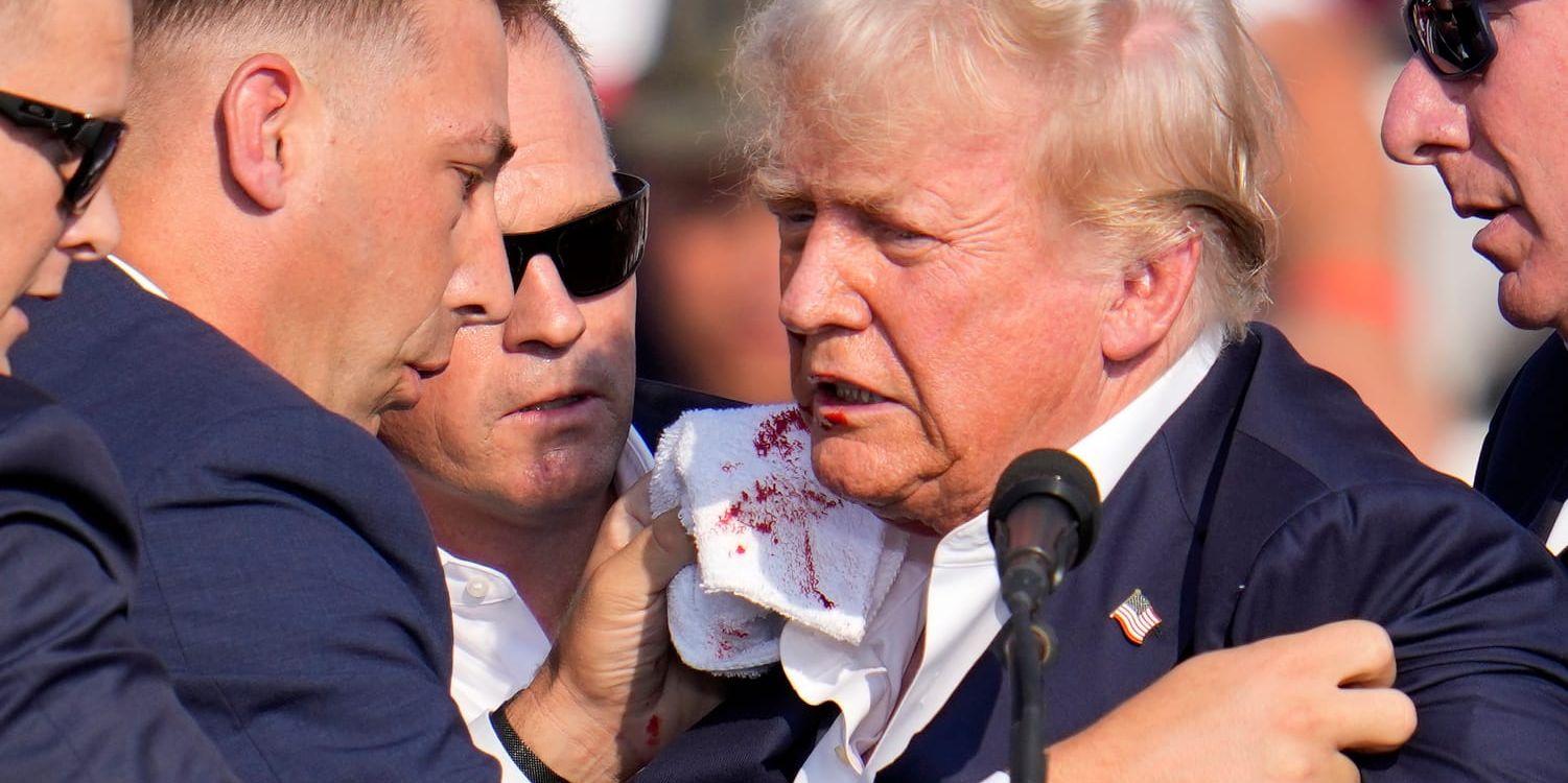 Presidentkandidaten Donald Trump skadades i ena örat vid skottlossningen den 13 juli.