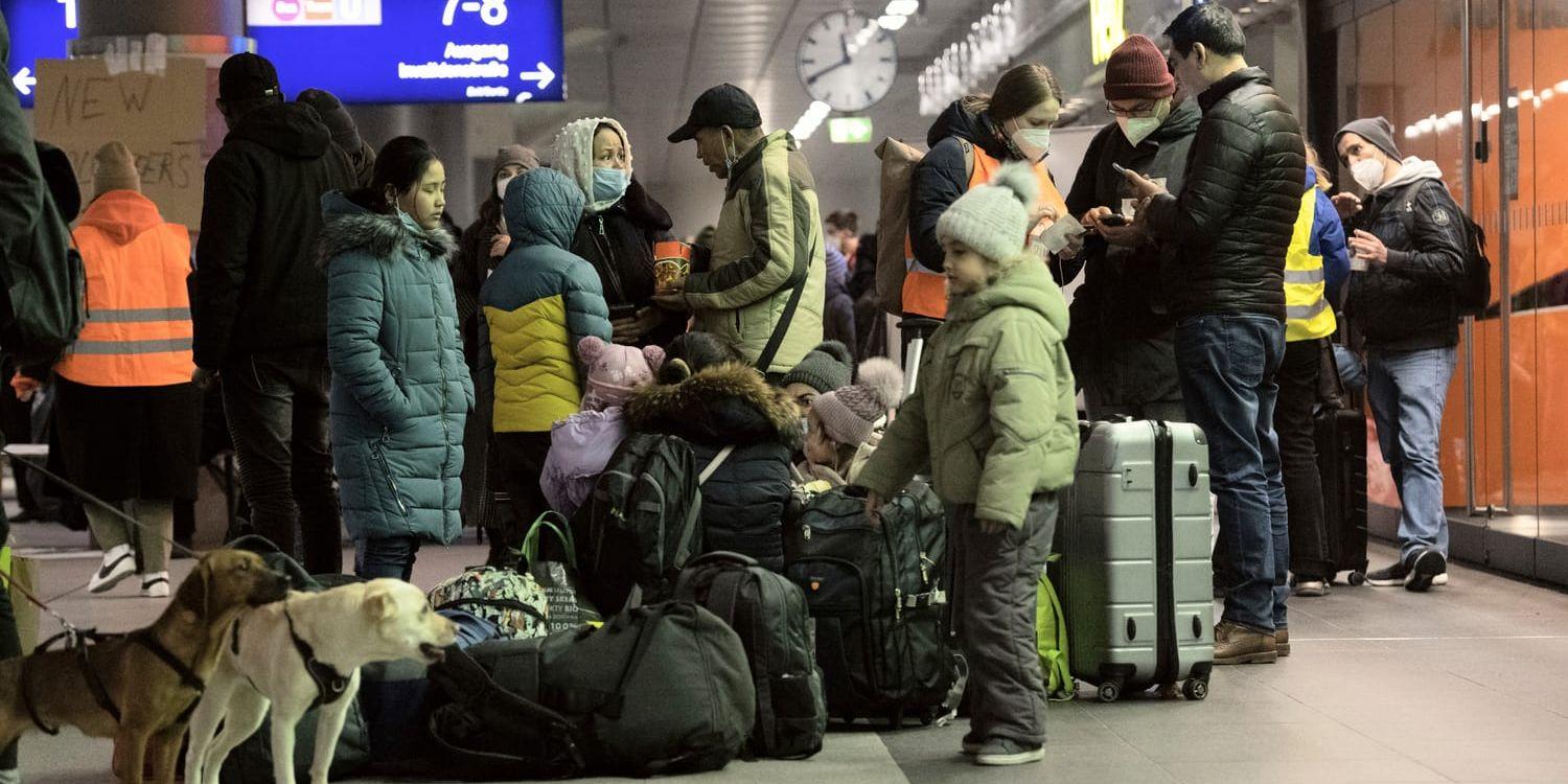 Arkivbild. Ukrainare som flytt utomlands ombeds nu att inte återvända hem till vintern. 