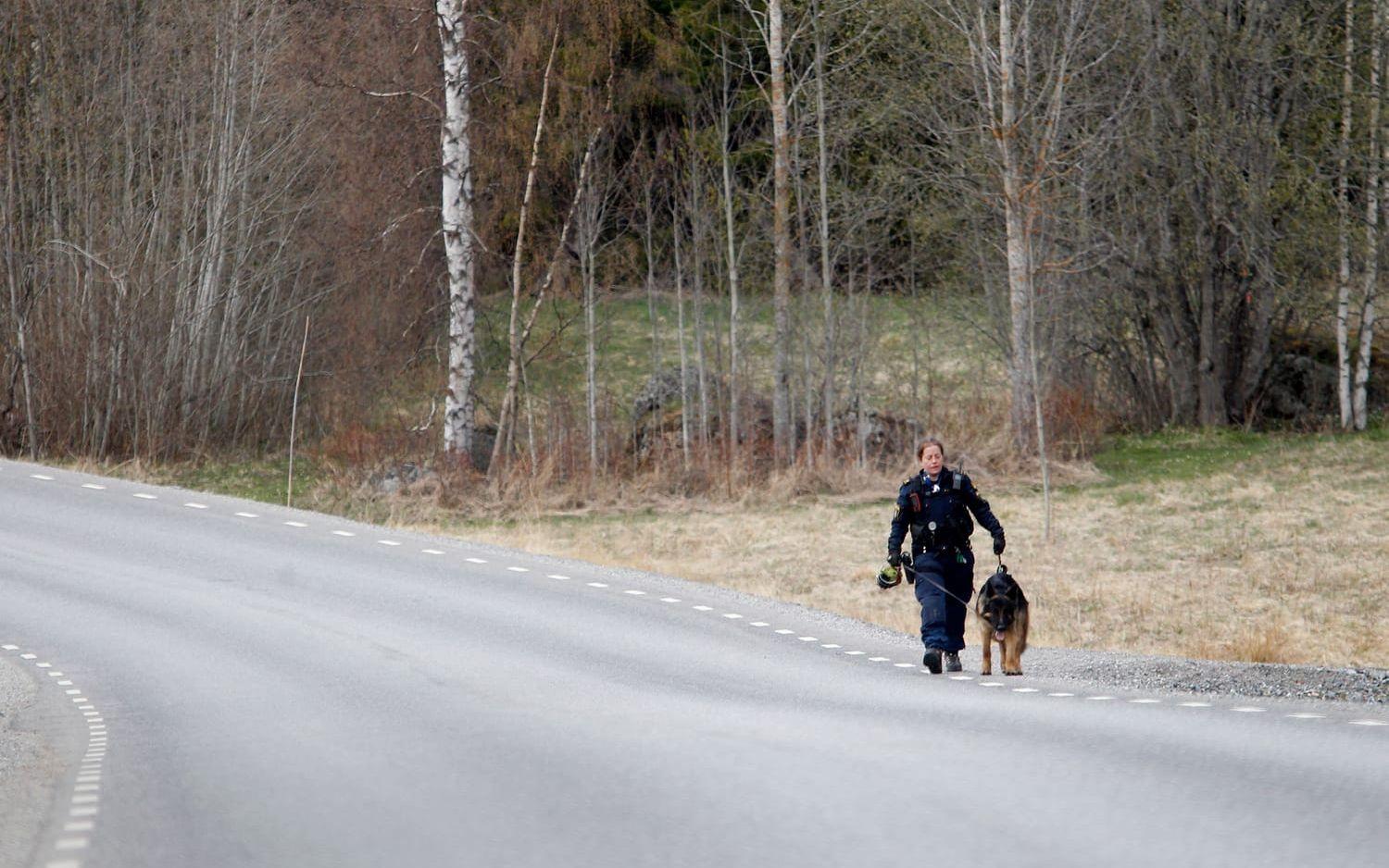 Ett stort antal poliser deltar i sökandet efter kvinnan. Bild: TT
