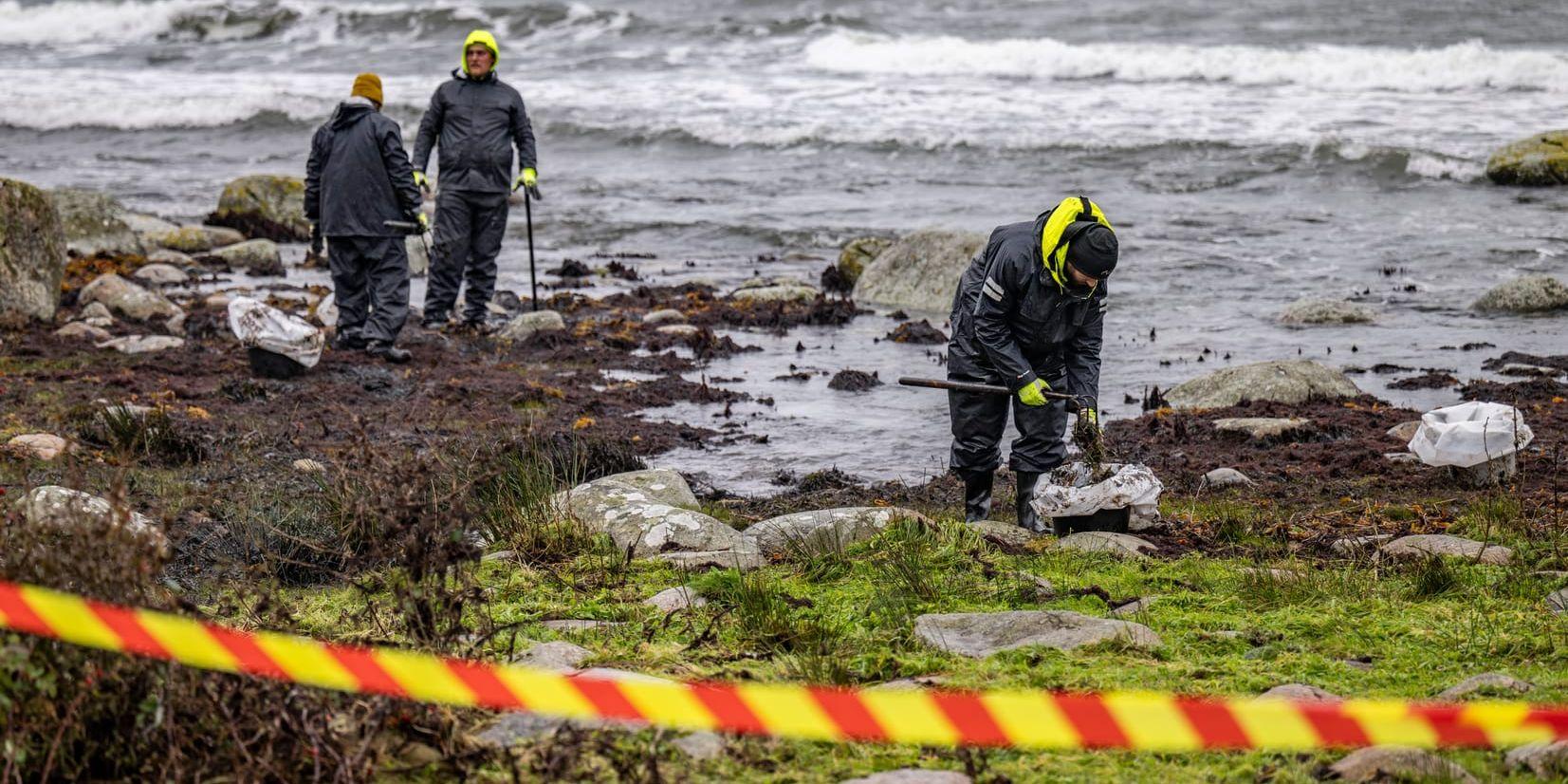 Personal från Kustbevakningen och Sölvesborgs kommun sanerar efter oljeläckaget från färjan Marco Polo vid naturreservatet Spraglehall utanför Hörvik. Arkivbild