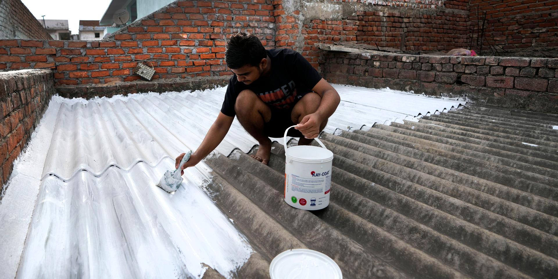 En man i Ahmedabad i Indien målar sitt hustak vitt i ett försök att få ner temperaturen inomhus. Arkivbild.