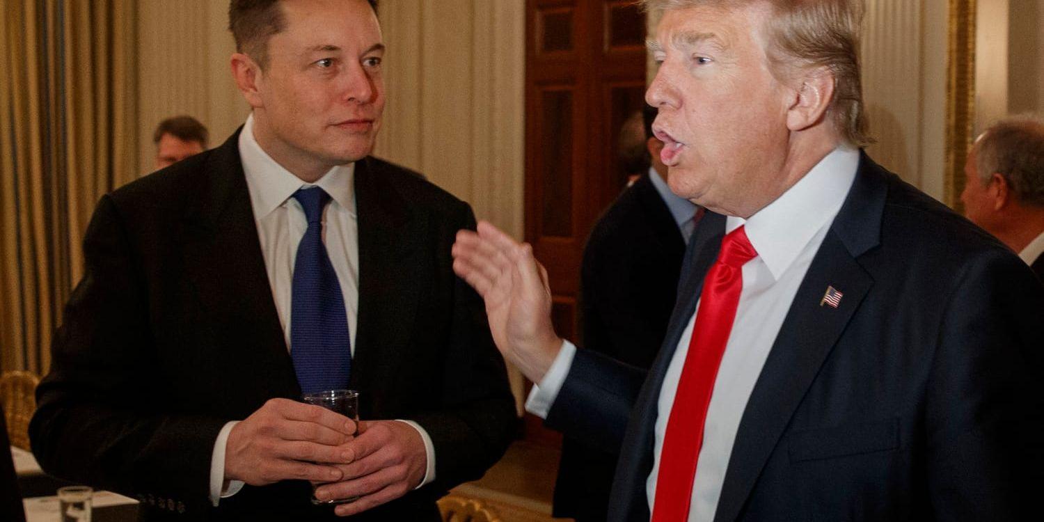 Elon Musk tillsammans med Donald Trump i Vita huset 2017. Arkivbild.