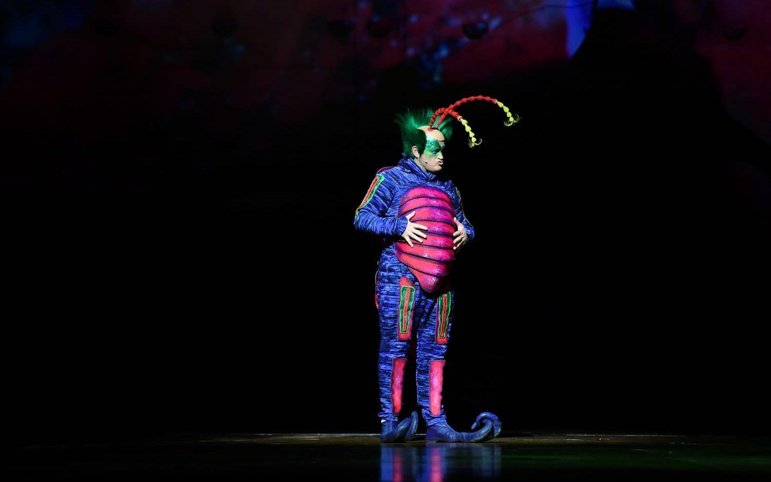 Cirque du soleil, den kanadensiska cirkusarnas cirkus, bjuder med ”Ovo” på formidabel luftakrobatik och konstnärligt hisnande akter. 