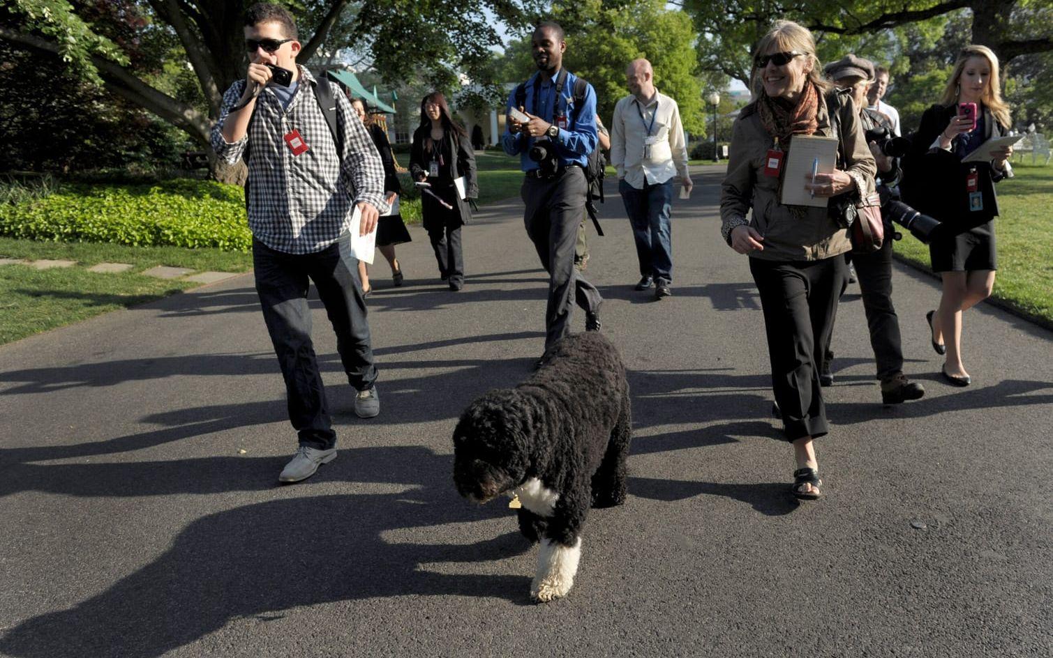 Bo leder journalister på en rundtur i Vita husets trädgård.