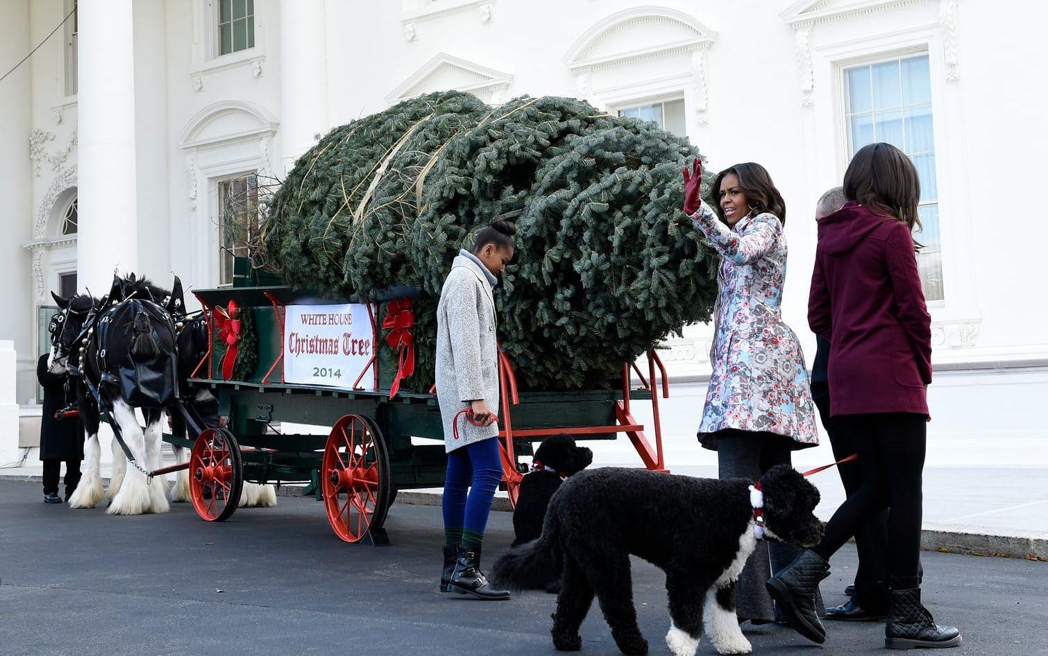 Familjen Obama ute och handlar julgran 2014.