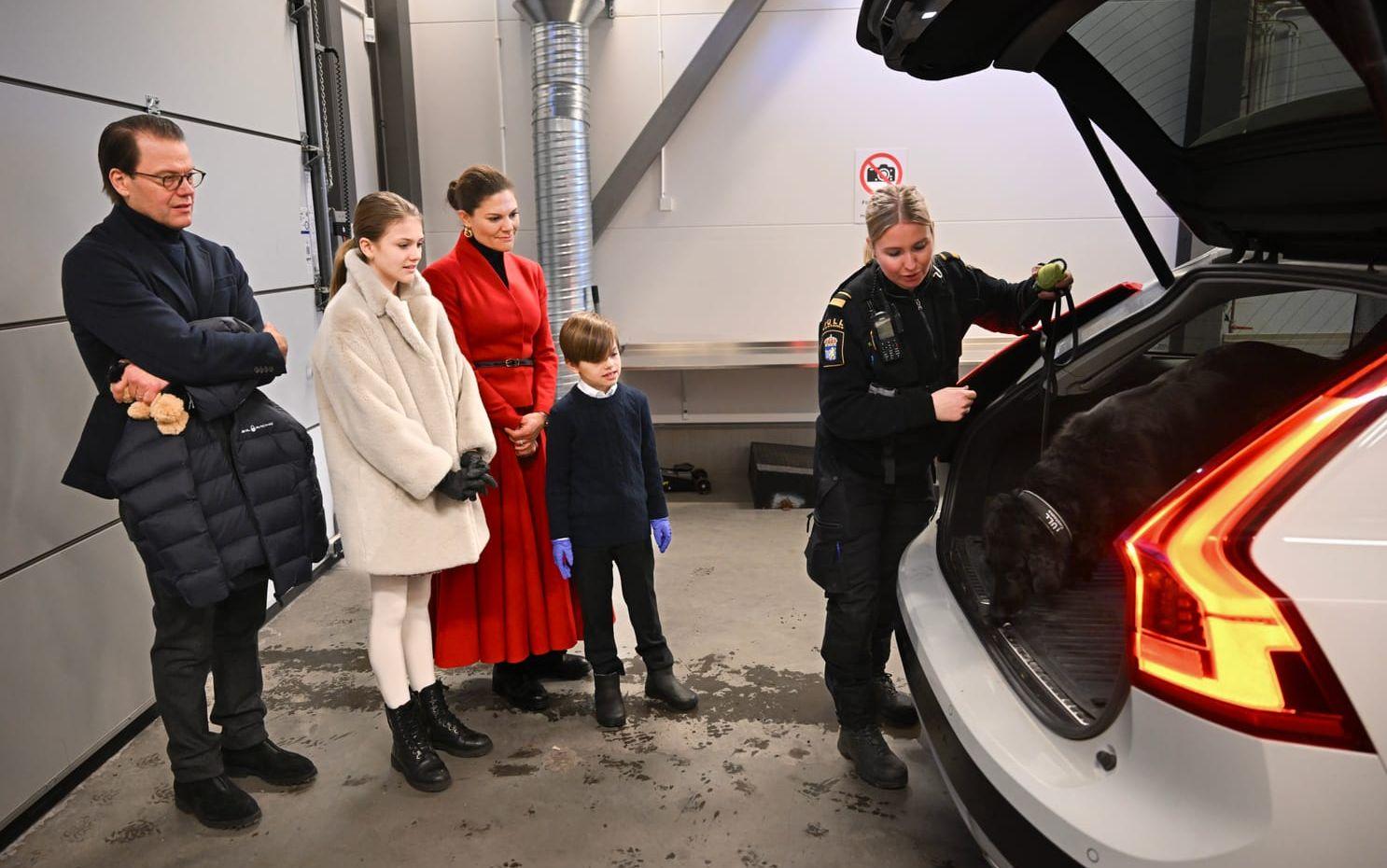 Kronprinsessfamiljen ser på när sökhunden Vittra inspekterar bakluckan på en personbil.
