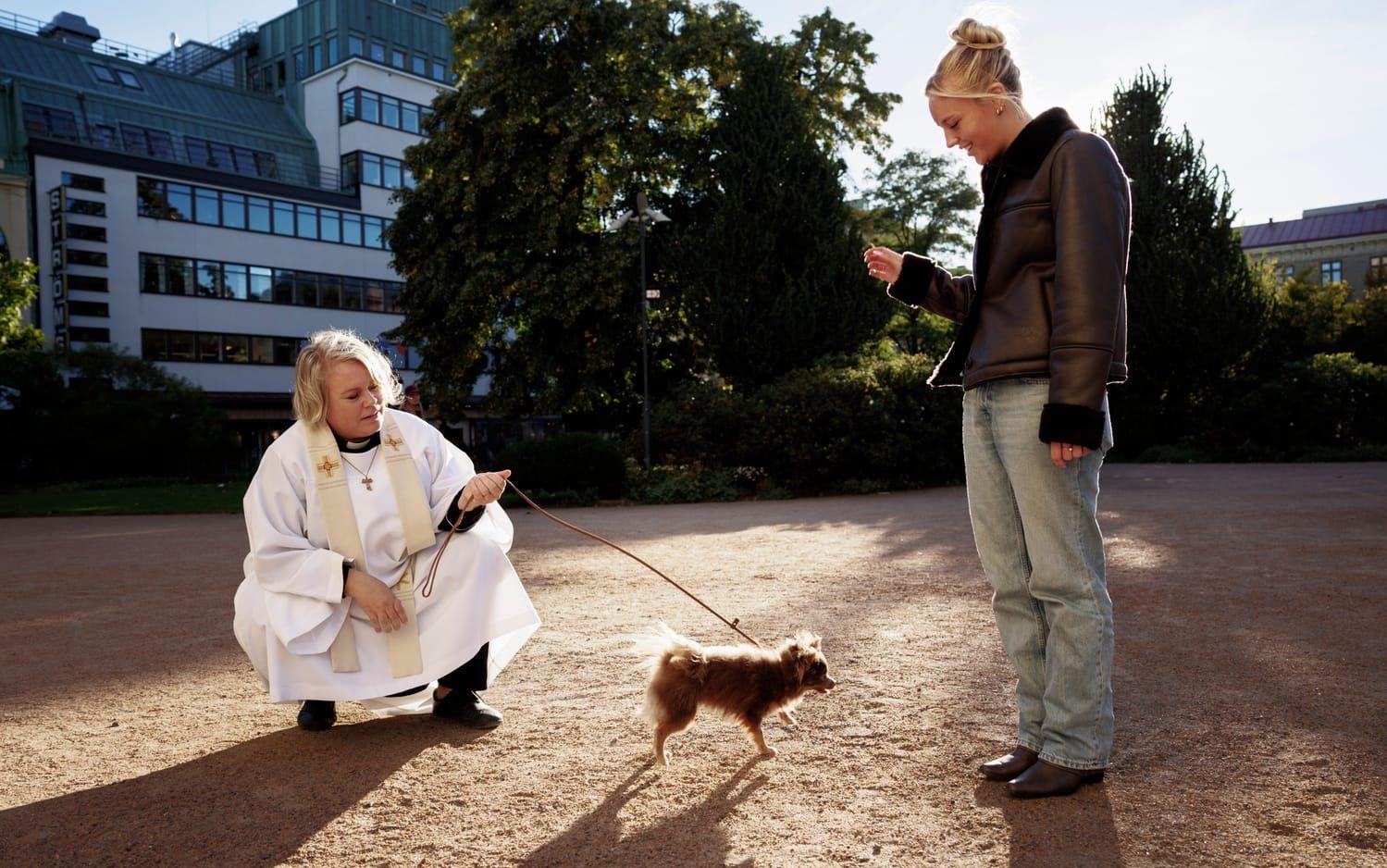 Maria Bergius och Tilda Berntsson har stött på varandra tidigare när de har promenerat med sina hundar i området.